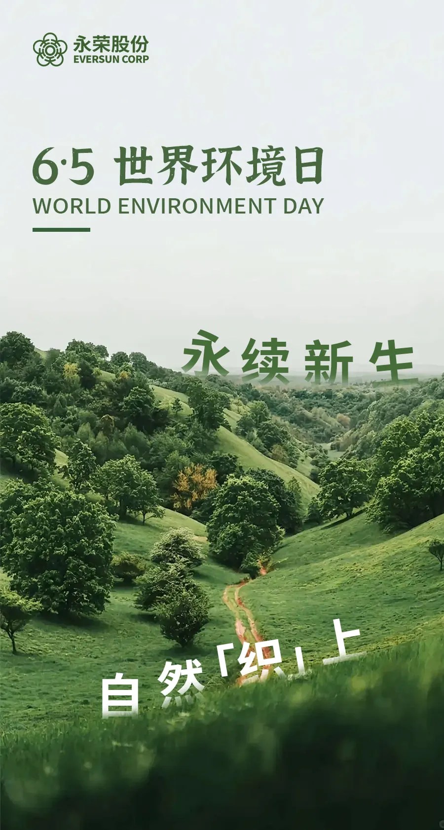 世界环境日丨一根纱线能对地球做什么？
